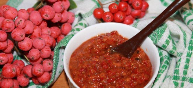 Соус из рябины красной к мясу