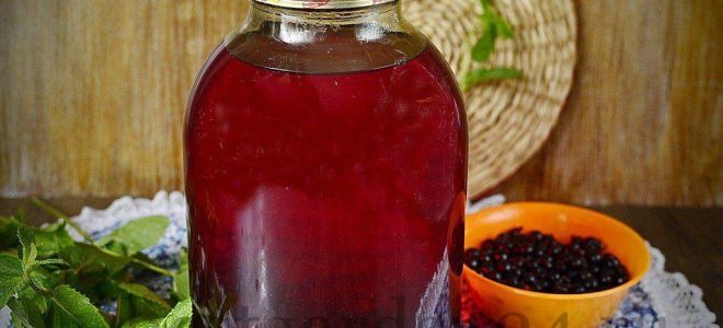 Компот из черной смородины на зиму