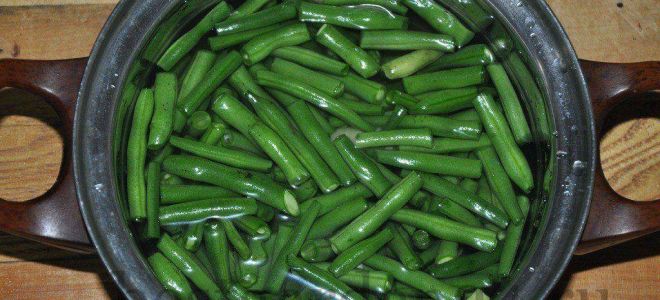 Маринованная спаржевая фасоль