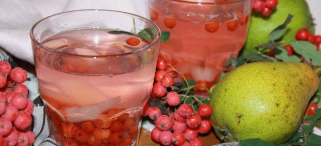 Компот из рябины и груши