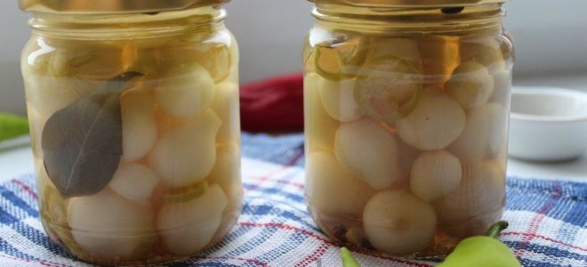 Маринованный лук «Жемчужина»