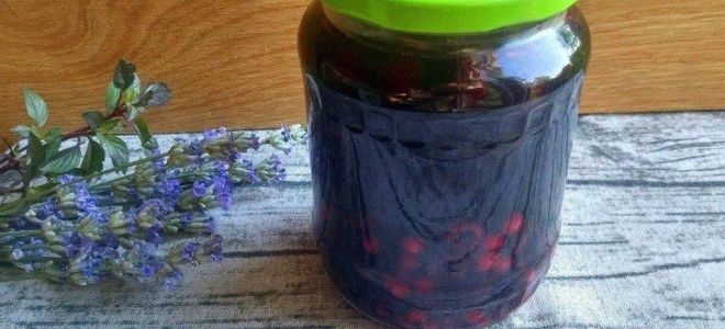 Компот из ежевики и красной смородины
