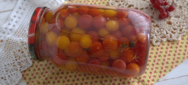 Маринованные помидоры черри с калиной